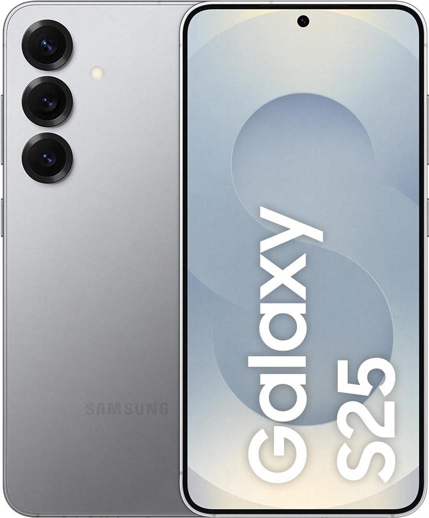 Samsung Galaxy S25 S931 5G Dual Sim 12GB RAM 256GB - Silver Shadow [Energieklasse B] (SM-S931BZSGEUB)