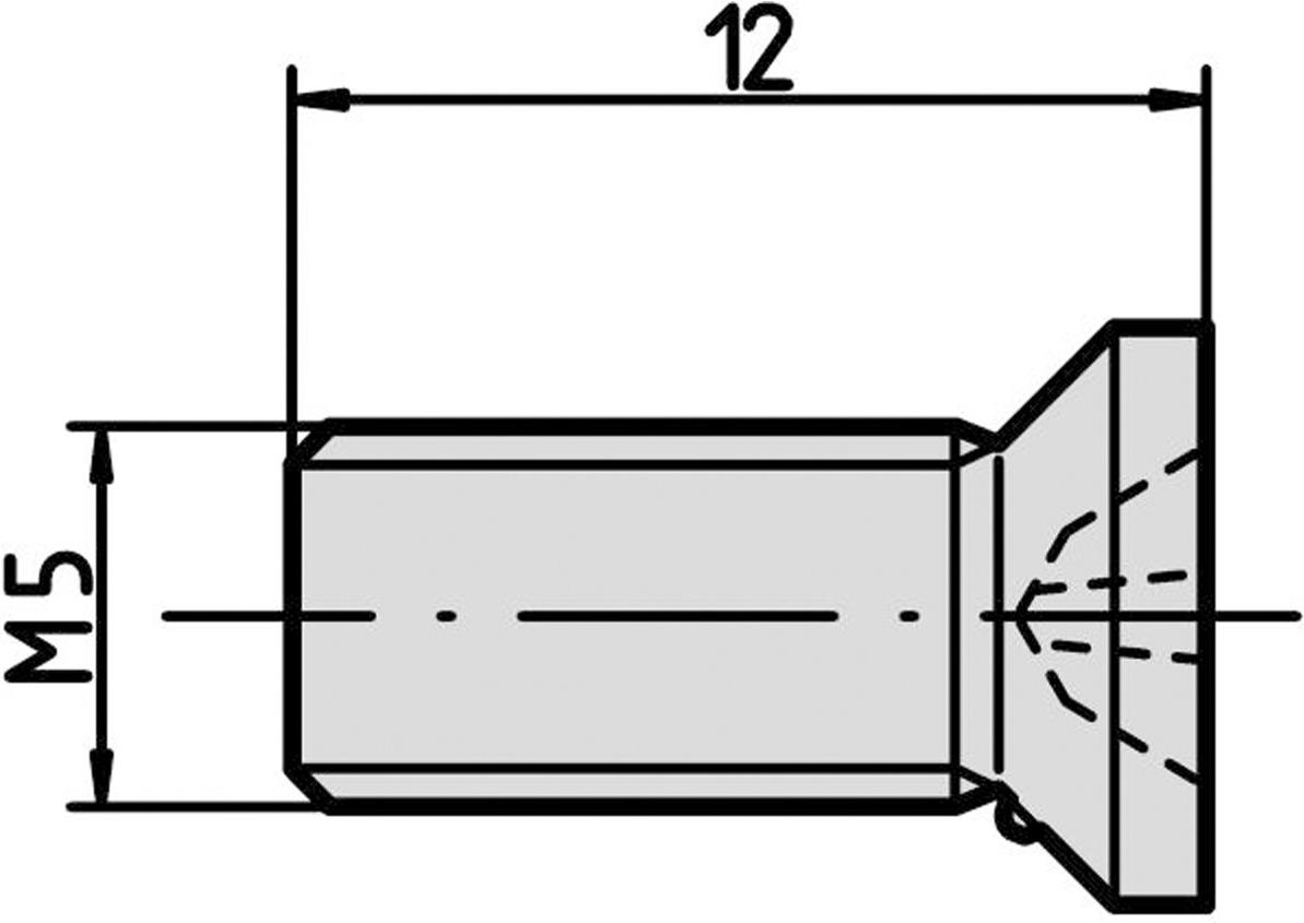 SCHROFF Schrauben zur Modul- und Profilschienenbefestigung - NTS SO.SENKSCHR.M5X12 100ST (21100716)