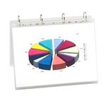 FOLIENT.A4 80MIC AHL MATT 25ST (LMGA4-80LM-25)