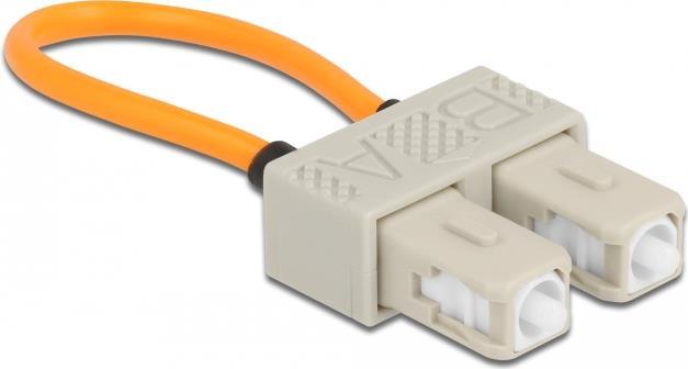 Delock Loopback-Adapter (86921)