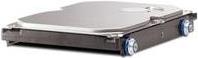 HP Festplatte 1 TB SATA 6Gb/s (QK555AA)
