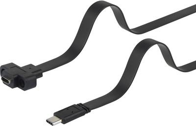 Renkforce RF-3415030 USB Kabel 0,25 m 3.2 Gen 1 (3.1 Gen 1) USB C Schwarz (RF-3415030)