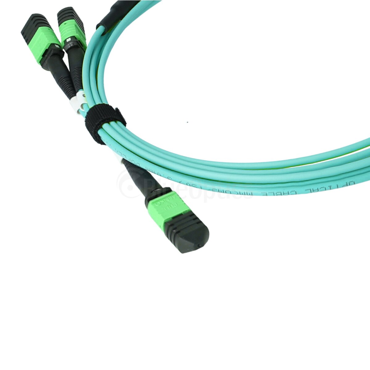 BlueOptics LWL Trunkkabel MFP7E00-C003-BO MPO/UPC auf 2x MPO/UPC OM3 3 m Aqua