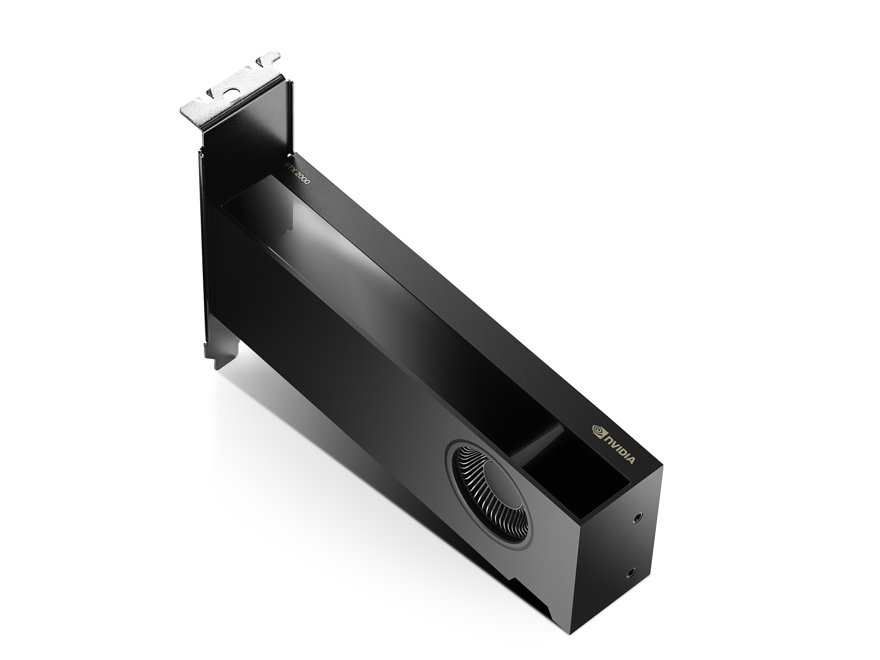 PNY NVIDIA RTX 2000 Ada 16 GB GDDR6 4x Mini DisplayPort Low Profile