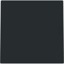 BUSCH JAEGER Blindzentralscheibe Ring u. Ltgauslass 1749-45M (2CKA001710A4251)