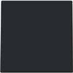 BUSCH JAEGER Blindzentralscheibe Ring u. Ltgauslass 1749-45M (2CKA001710A4251)