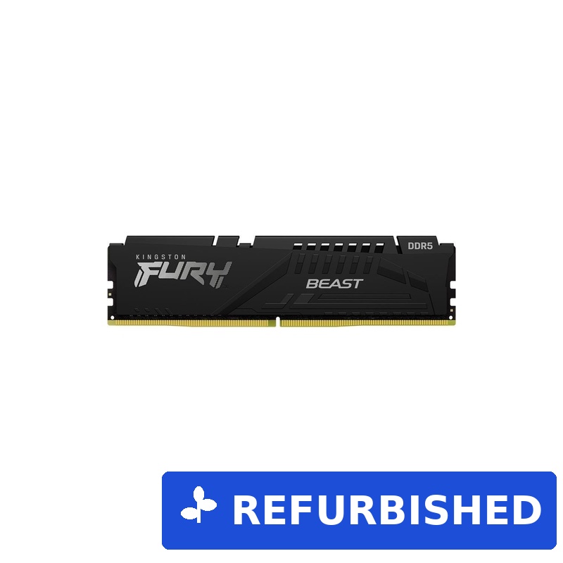 Kingston FURY Beast (KF552C40BB-32)