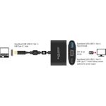 DeLOCK Externer Videoadapter (62992)