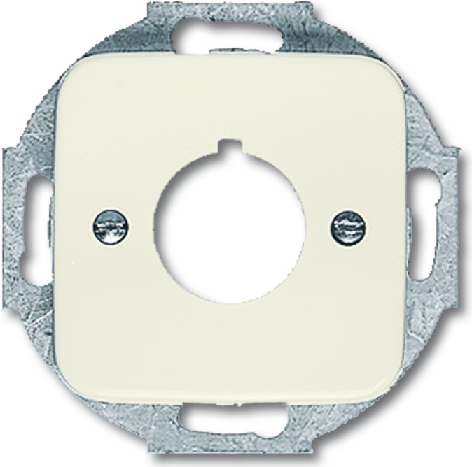 BUSCH-JAEGER Zentralscheibe Befehlsgeräte 225mm 2533-212 Duro 2000 SI weiss 2533-212 (1724-0-0210)