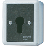 Jung Schlüsselschalter Taster 1-pol. 833.18 G (833.18G)