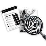 HP 305XL 4 ml Hohe Ergiebigkeit (3YM62AE#UUQ)