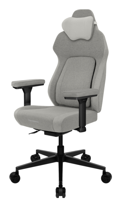 ThunderX3 CORE Smart Ergonomischer Gaming Stuhl Loft Grey