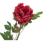 EUROPALMS Pfingstrosenzweig Classic, Kunstpflanze, magenta, 80cm (82530211)