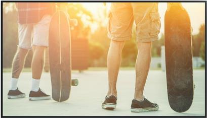 NEC Display MultiSync P495 PG-2 (60005858)