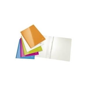 Leitz 30011099 Konventioneller Dateiordner (3001-10-99)