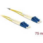 Delock LWL Kabel LC Duplex zu LC Duplex Singlemode OS2 75 m (80160)