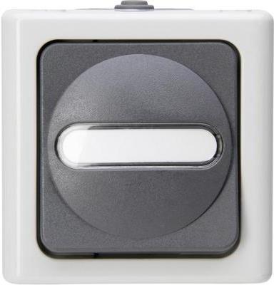 Kopp 560856002 Thermoplast Schwarz - Weiß Lichtschalter (560856002)