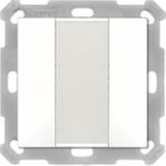 MDT technologies Taster 55 2-fach, Reinweiß matt BE-TA5502.02 (BE-TA5502.02)