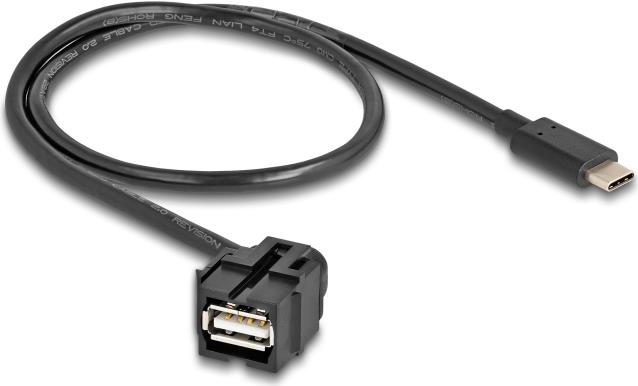 Delock Keystone Modul USB 2.0 A Buchse zu USB Type-C™ Stecker 250° mit Kabel 0,5 m (88056)