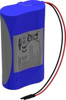 Ansmann 2S1P Akkupack 2x 18650 Kabel Li-Ion 7.2V 2600mAh 7.2 V 2600 (2447-3030-60)