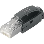 Telegärtner STX IP20 RJ45-Stecker Cat.6, AWG24-AWG27 mit Knickschutztülle schwarz (VE 10) (J80026A0001)
