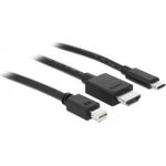 DeLOCK Videoschnittstellen-Converter (85830)