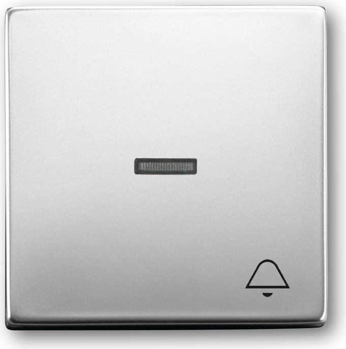 BUSCH-JAEGER Wippe 1789KI-866 edelstahl 1789KI-866 (1789KI-866)