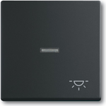 Busch Jaeger 1751-0-3045 Lichtschalter Schwarz Kunststoff (1751-0-3045)