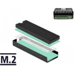 DeLOCK Solid State Drive Kühlkörper (18353)