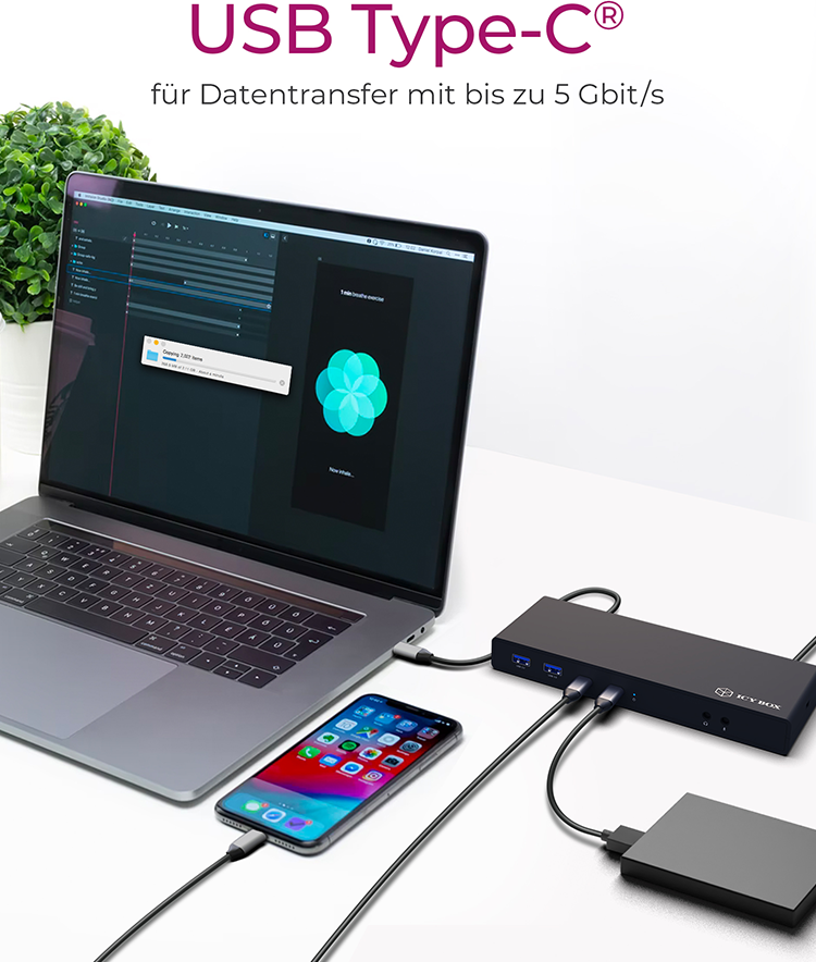 ICY BOX IB-DK2245AC Dockingstation USB-C / Thunderbolt 3 2x HDMI 2x DisplayPort Gigabit Ethernet Schwarz