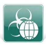Kaspersky Security for Internet Gateway (KL4413XAQD9)