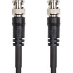 Roland RCC-100-SDI Composite-Video-Kabel 30 m BNC Schwarz (222570099)