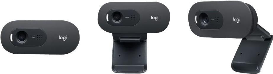 Logitech C505e Web-Kamera (960-001372)