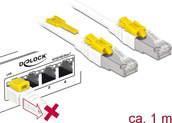 DeLOCK Secure Patch-Kabel (85331)