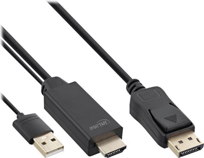 InLine HDMI to DisplayPort Converter Cable (17161P)