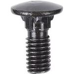 Alphacool Eiskoffer - Schlossschraube M5 x 10 Innensechskant Linsenkopf (90364)