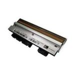 Zebra 1 300 dpi Druckkopf (P1004239)