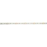 EUROLITE LED IP Strip 600 5m 2835 4000K 24V (50530110)