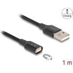 Delock Magnetisches USB-Ladekabel schwarz 1 m (88167)