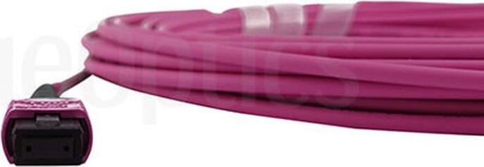 BlueOptics SFP6262FU5MKB Glasfaserkabel 5 m MTP OM4 Rose (SFP6262FU5MKB)
