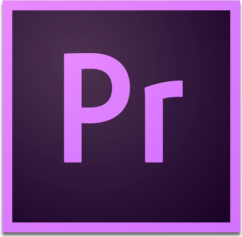 Adobe Premiere Pro for Enterprise Video-Editor Kommerziell 1 Lizenz(en) 1 Jahr(e) (65297638BA14C12)