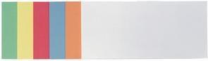 FRANKEN Moderationskarte, Rechteck, 205 x 95 mm, orange 100% Altpapier, 130 g/qm (UMZ 1020 05)