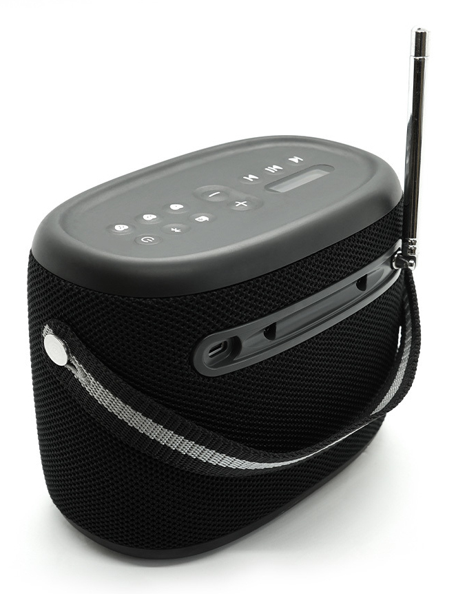 Pure Acoustics Pure Woodland Tragbarer Bluetooth-Lautsprecher Bluetooth 5.1 10 W Schwarz