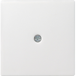 GIRA Abdeckung f.Schnurableitung 027403 System 55 reinweiss glänzend 027403 (027403)