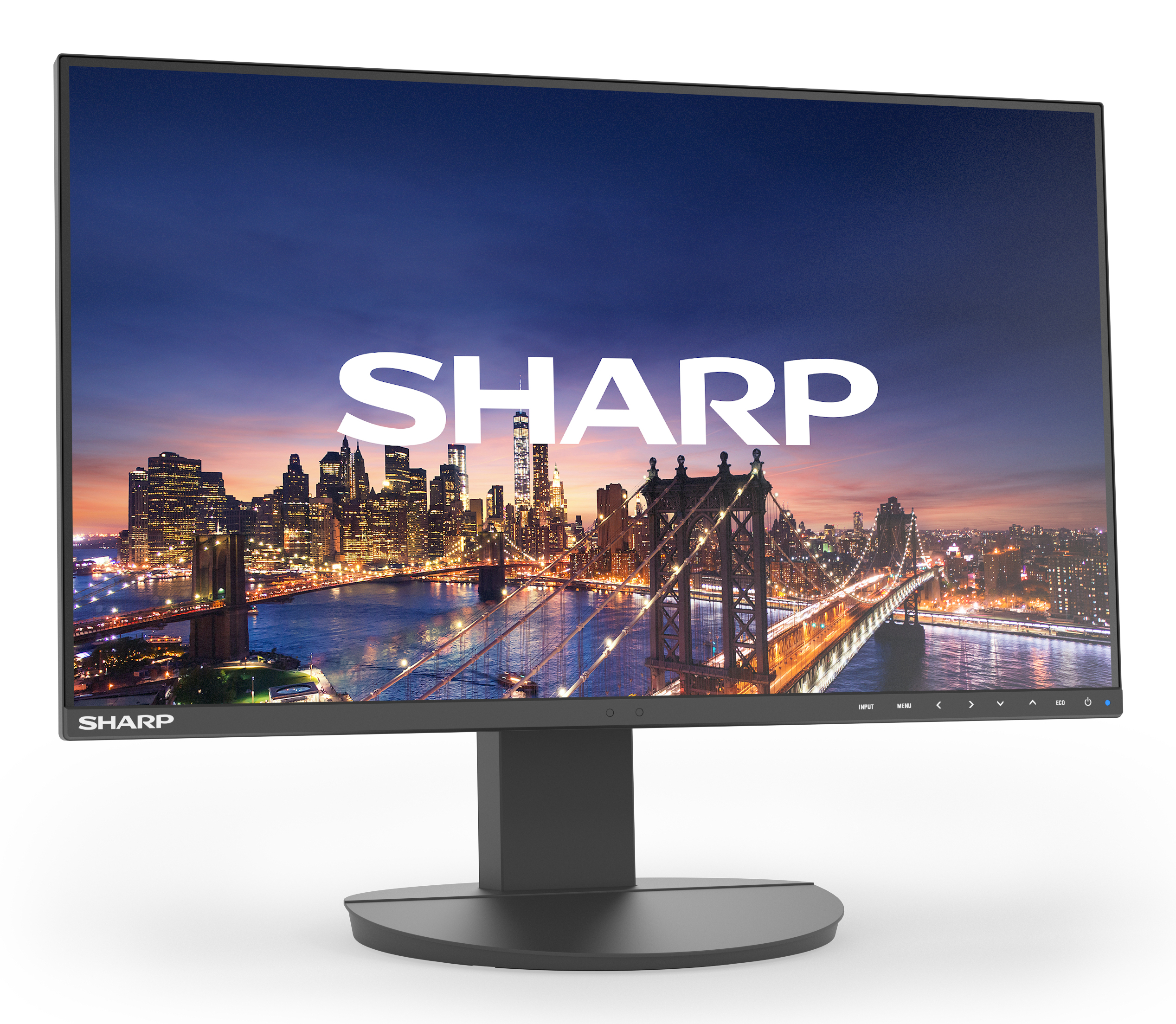 NEC MultiSync EA241F LED-Monitor 24" Full HD IPS HDMI DisplayPort DVI-D VGA Schwarz