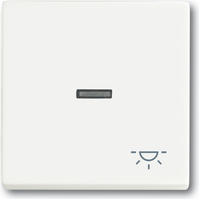 Busch Jaeger 1751-0-3031 Lichtschalter Weiß Kunststoff (1751-0-3031)