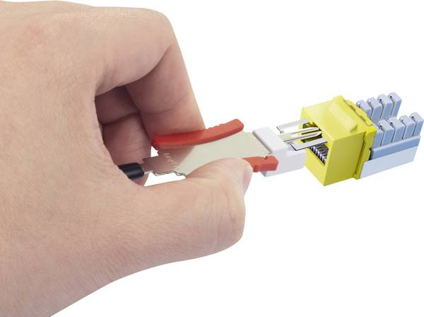 Renkforce RJ45-Einbaumodul Keystone CAT 6 Metallisch, Transparent, Weiß