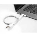 Delock Staubschutz für USB Typ-A Stecker und USB Type-C™ Stecker Set 2 Stück weiß (64206)