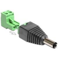 DeLOCK Adapter DC 2,1 x 5,5 mm male > Terminal Block - Netzteil - Gleichstromstecker 2,1 mm (M) - 2-polige Klemmleiste (65422)