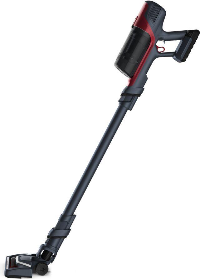 Rowenta X-Pert 6.60 Animal 100 W 45 min Rot, Grau